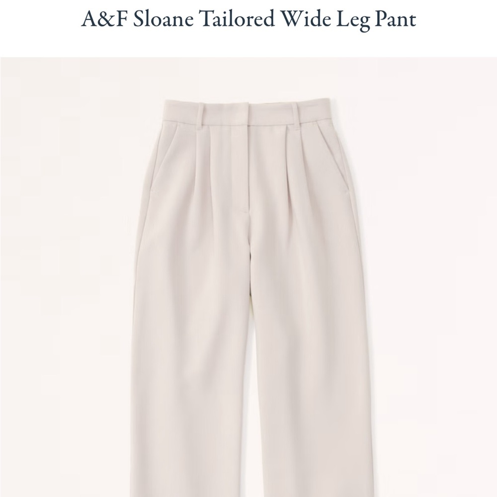 A&F Sloan tailered wide leg pants